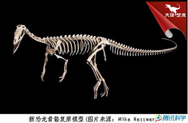 中国·yl9193永利(集团)·官方网站|Officials Website