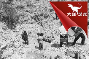中国·yl9193永利(集团)·官方网站|Officials Website