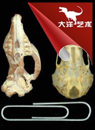 中国·yl9193永利(集团)·官方网站|Officials Website