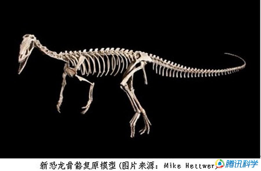 中国·yl9193永利(集团)·官方网站|Officials Website