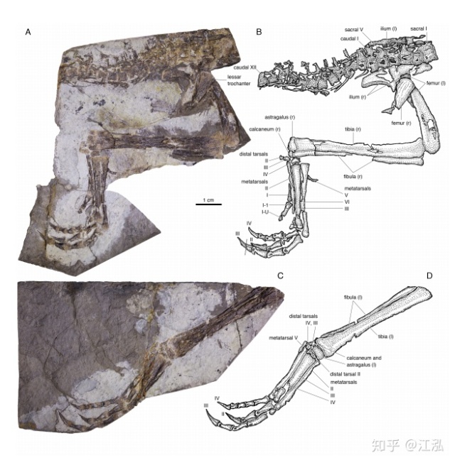 151J63454-6