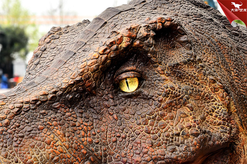 仿真恐龙，霸王龙龙头模型