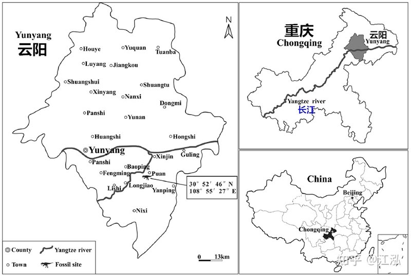中国·yl9193永利(集团)·官方网站|Officials Website